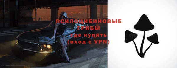 мдпв Надым