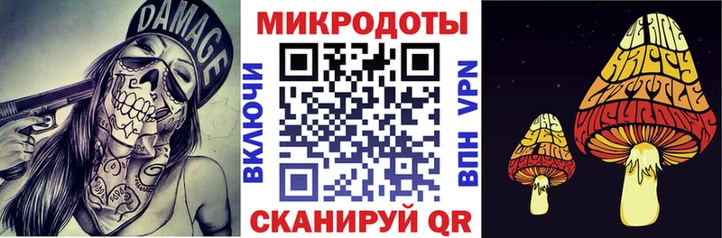 Галлюциногенные грибы GOLDEN TEACHER  mega ссылки  Ростов  купить наркоту 